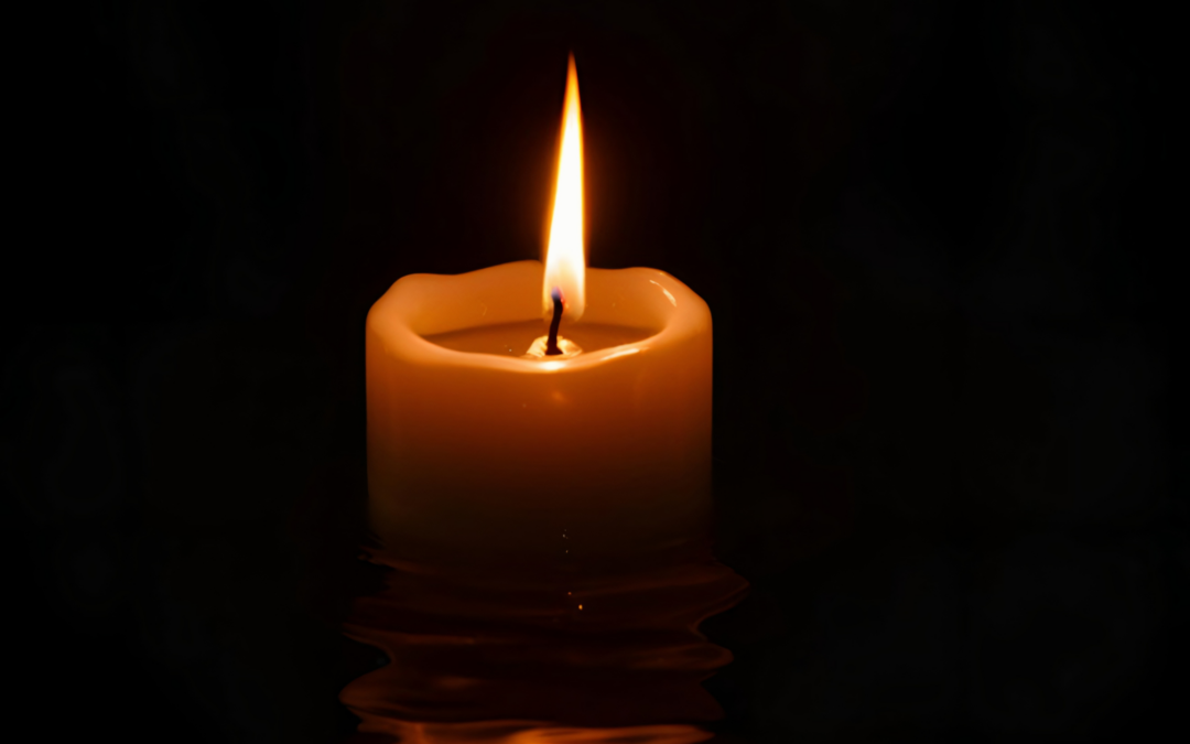 VALE: Honoring the Legacy of Leo Lucchesi, Jamie Cameron, and Joe Di Toro